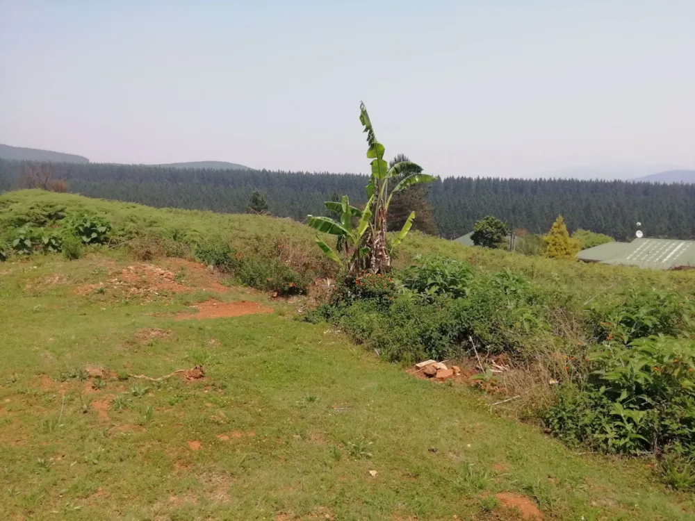 Residential vacant land for sale in Sabie - 1LY1549044 Residential vacant land for sale in Sabie - 1LY1549044