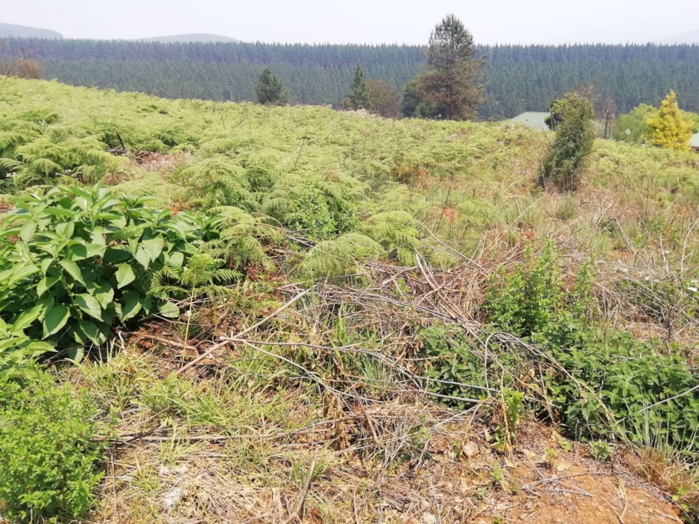 Residential vacant land for sale in Sabie - 1LY1549044