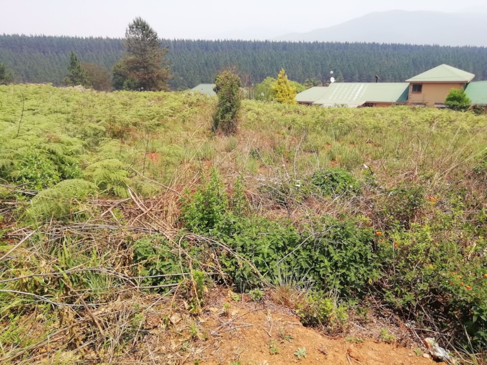 Residential vacant land for sale in Sabie - 1LY1549044