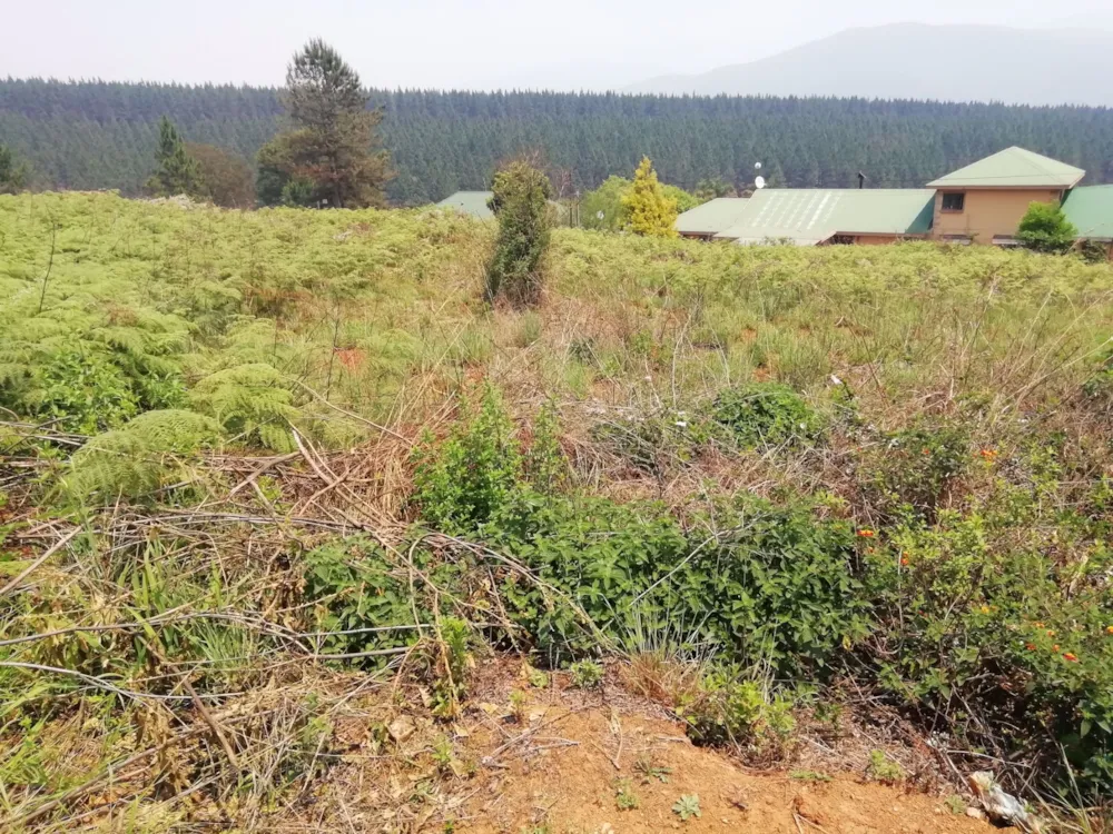 Residential vacant land for sale in Sabie - 1LY1549044 Residential vacant land for sale in Sabie - 1LY1549044
