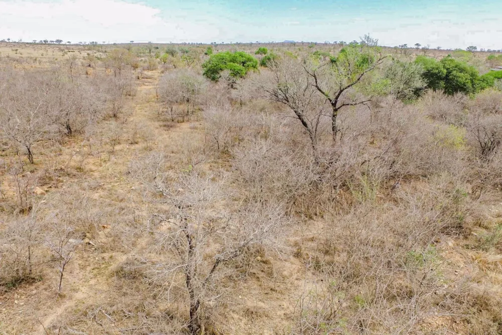 Vacant land sold in Mjejane Game Reserve - 1NK1549447