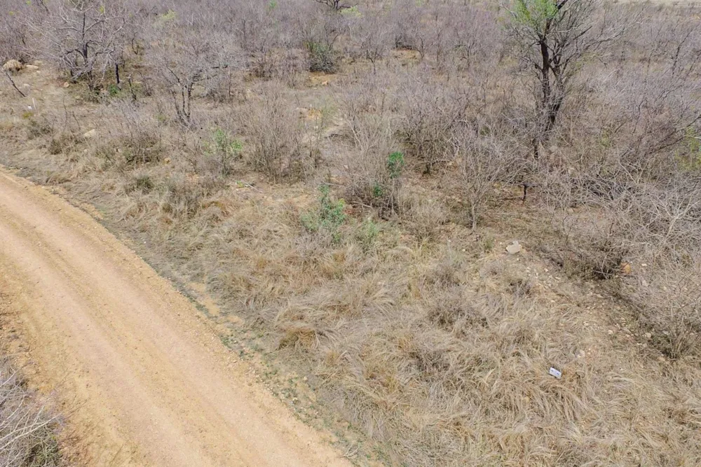 Vacant land sold in Mjejane Game Reserve - 1NK1549447