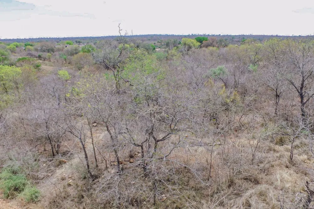 Vacant land sold in Mjejane Game Reserve - 1NK1549447