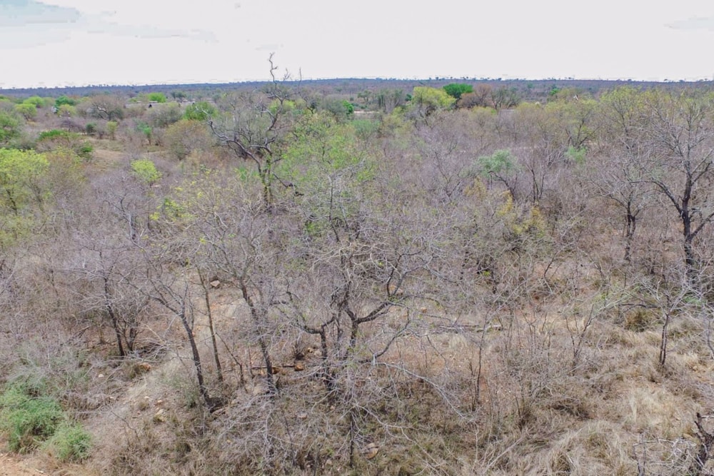 Vacant land for sale in Mjejane Game Reserve - 1NK1549447 Vacant land for sale in Mjejane Game Reserve - 1NK1549447