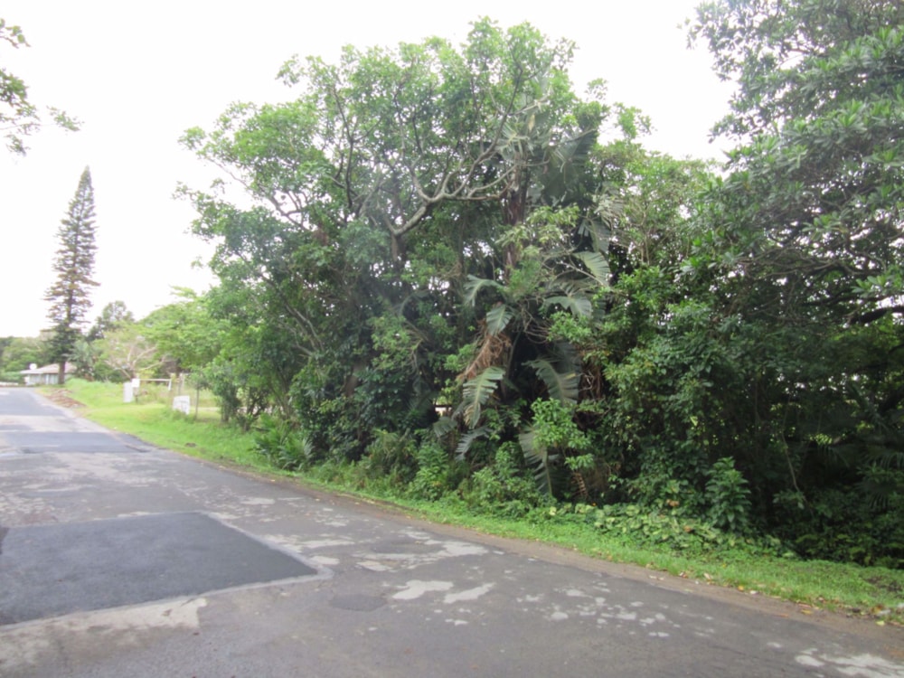 Residential vacant land for sale in Port Edward - 1PD1549872 Residential vacant land for sale in Port Edward - 1PD1549872