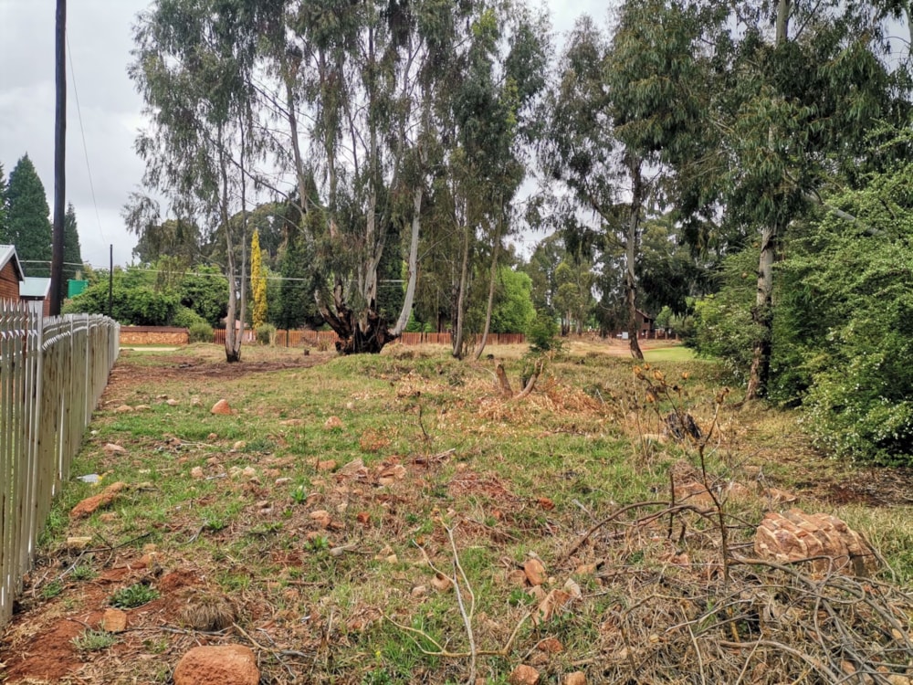 Vacant land for sale in Dullstroom - 1DS1747871