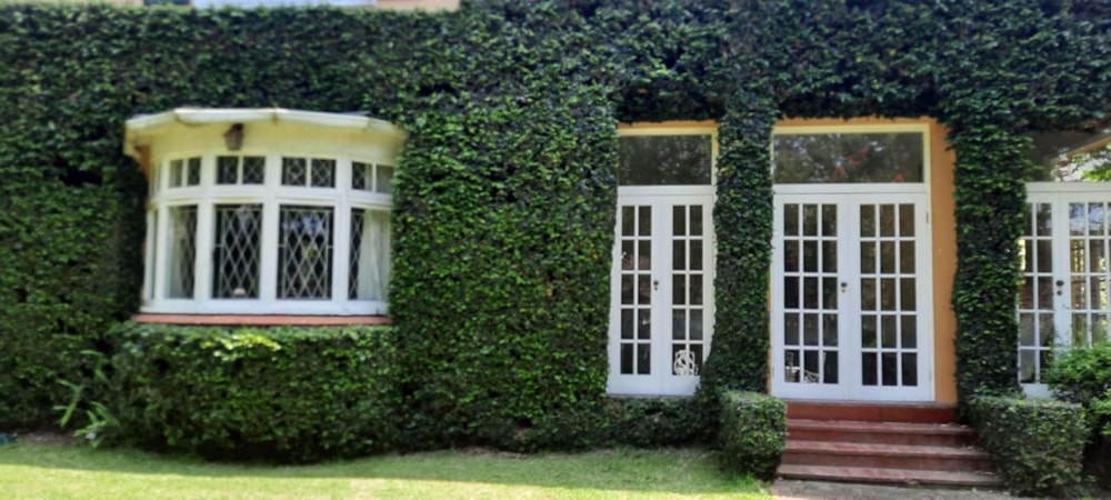 House for sale in Scottsville, Pietermaritzburg - 1PM1550947