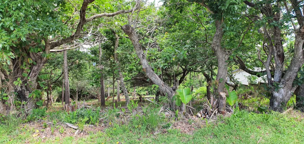 Residential vacant land for sale in Leisure Bay - 1PD1468189