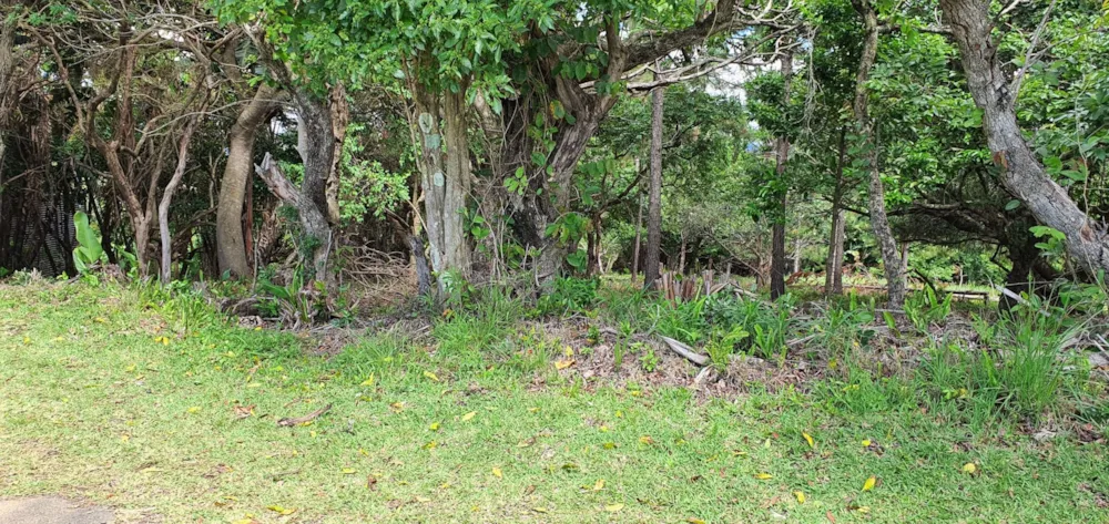 Residential vacant land for sale in Leisure Bay - 1PD1468189