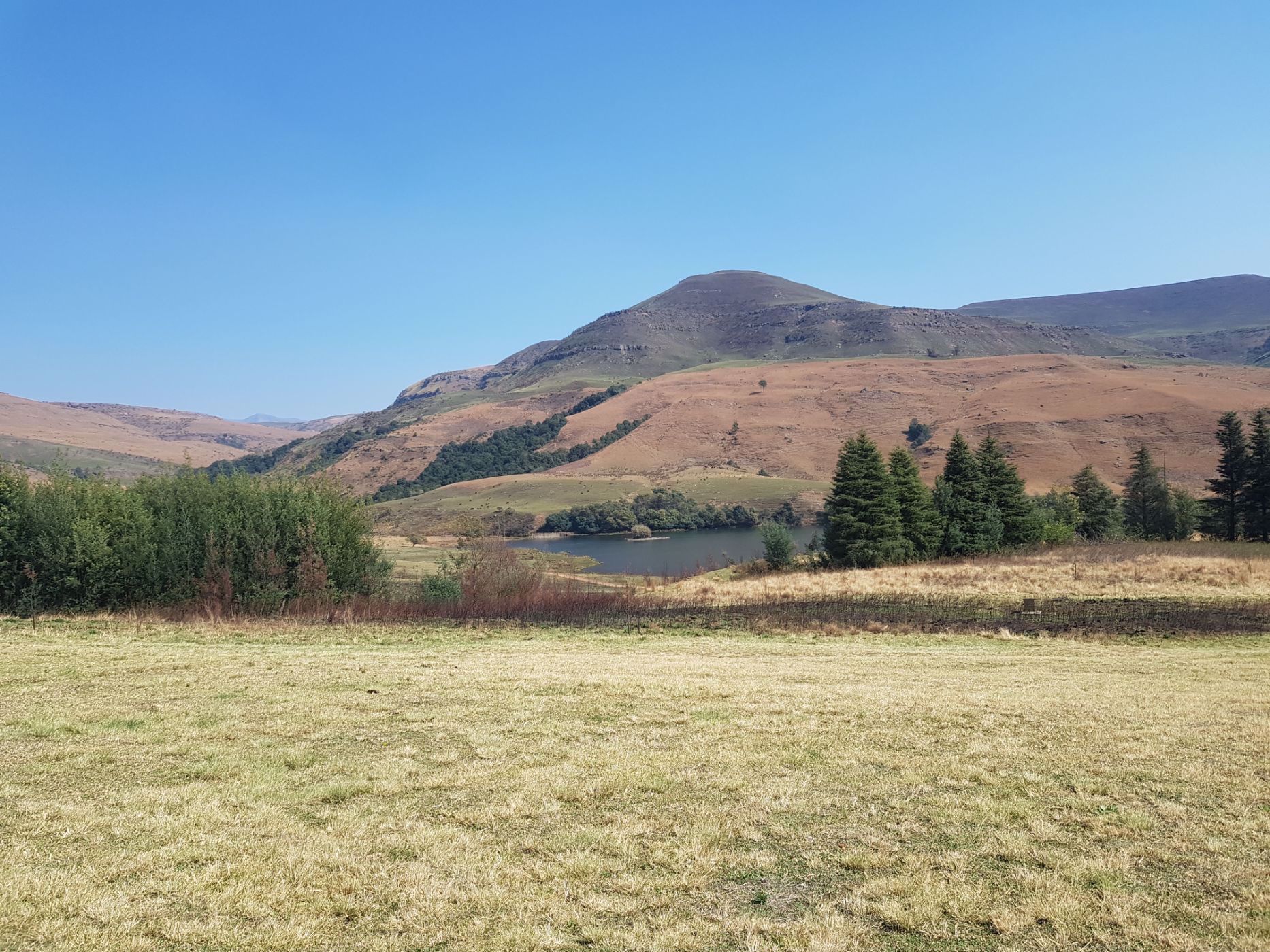 House for sale in Kamberg - 1PM1550603