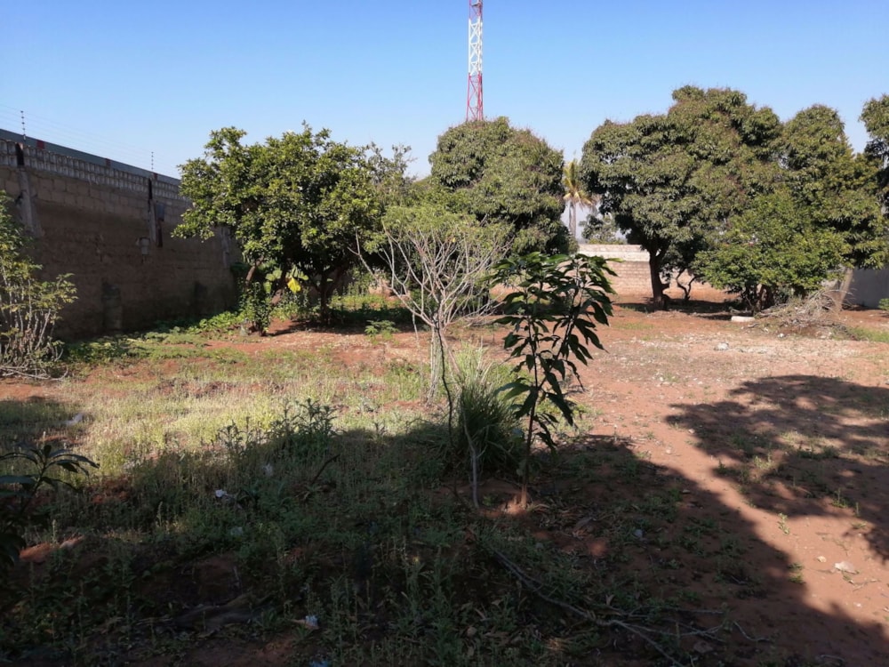 Residential vacant land for investment in Matola, Mozambique - 3MQ1550656 Residential vacant land for investment in Matola, Mozambique - 3MQ1550656
