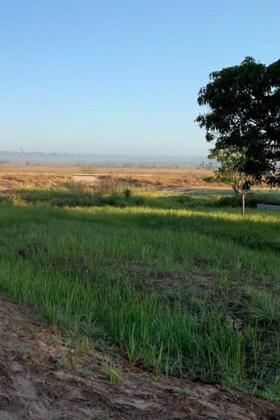 Farm vacant land for investment in Catembe, Mozambique - 3MQ1550950