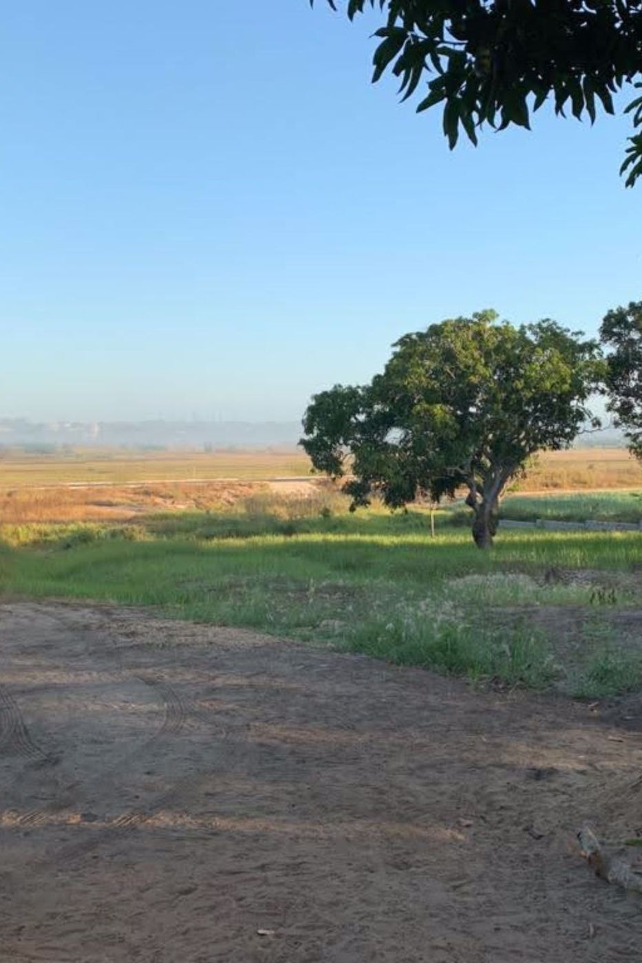 Farm vacant land for investment in Catembe, Mozambique - 3MQ1550950