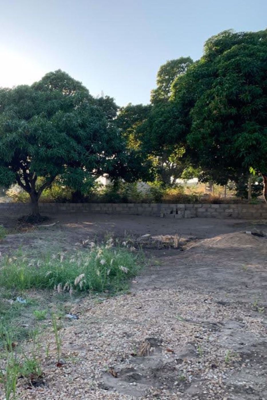 Farm vacant land for investment in Catembe, Mozambique - 3MQ1550950