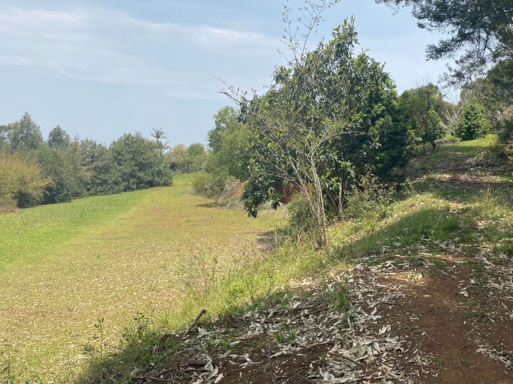 Farm vacant land sold in Richmond, Midlands, Rural - 1PM1594983