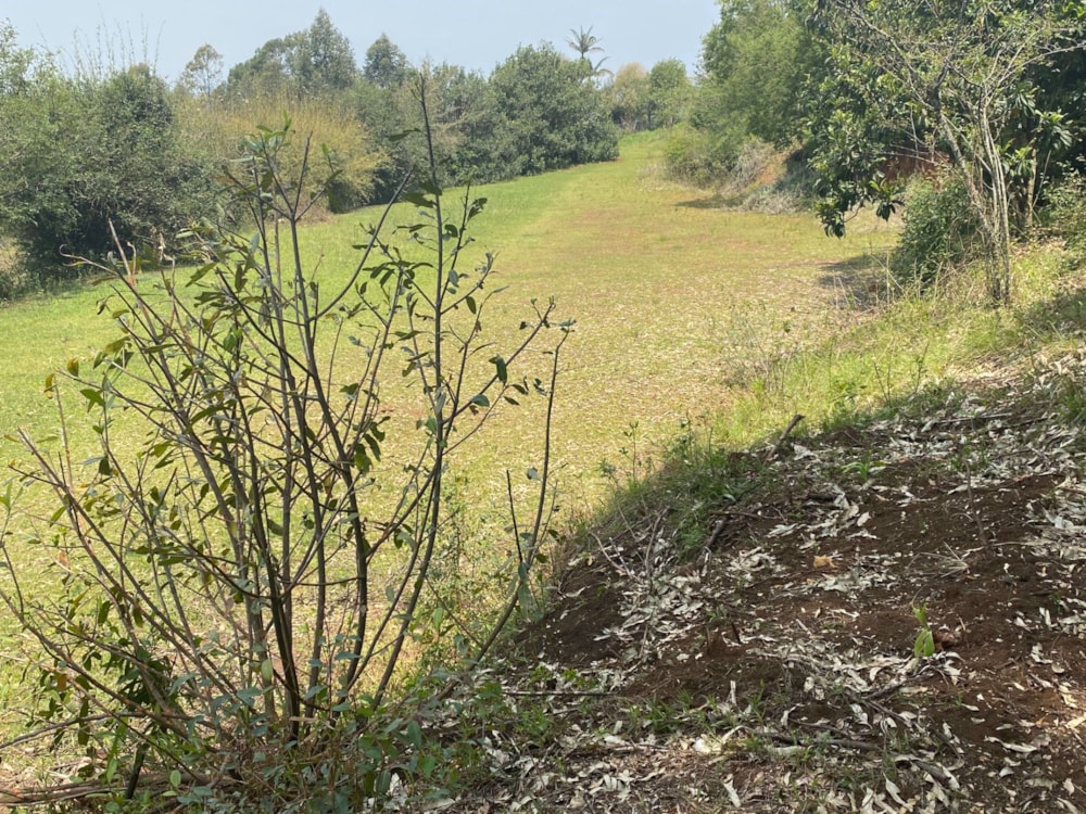 Farm vacant land sold in Richmond, Midlands, Rural - 1PM1594983