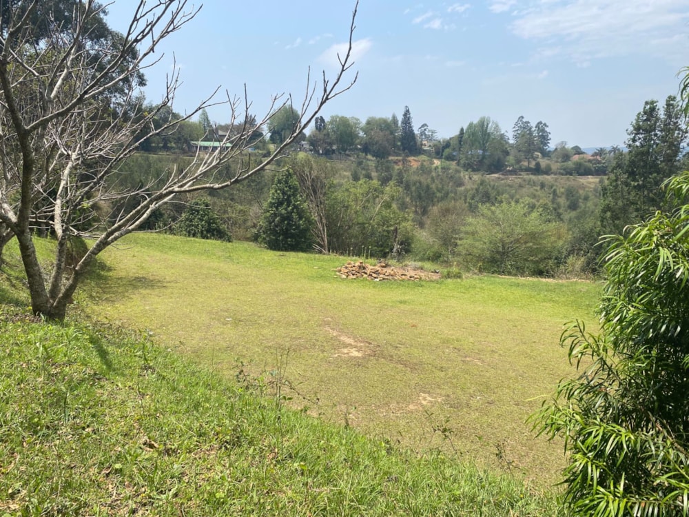 Farm vacant land sold in Richmond, Midlands, Rural - 1PM1594983