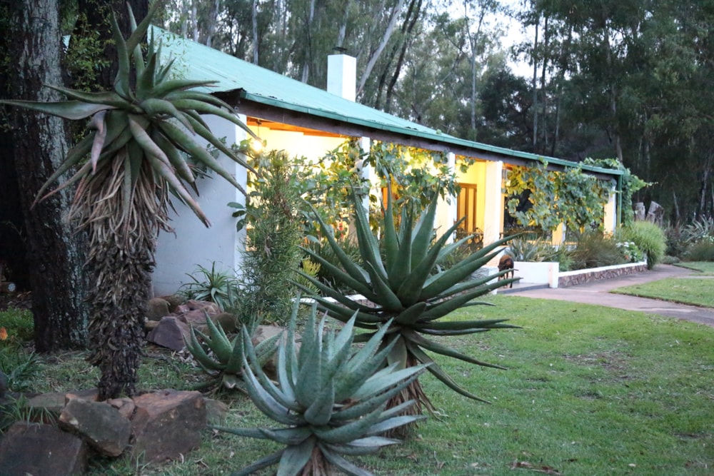 Country hotel for sale in Tiegerpoort SH - PT1551449 Country hotel for sale in Tiegerpoort SH - PT1551449