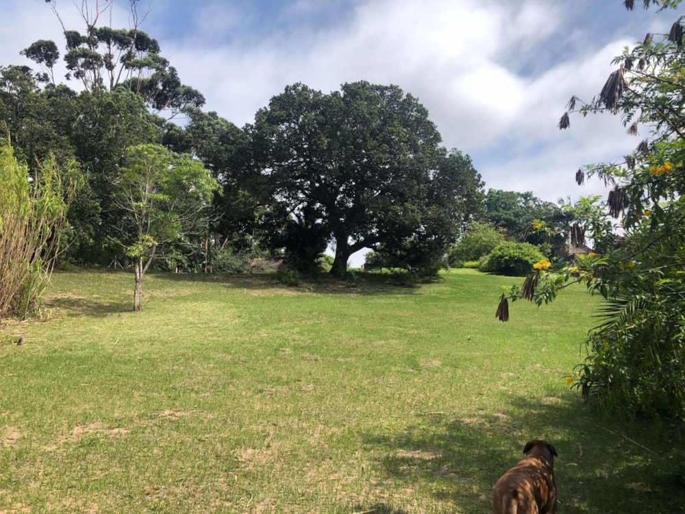 Residential vacant land for sale in Leisure Bay - 1PD1551462 Residential vacant land for sale in Leisure Bay - 1PD1551462