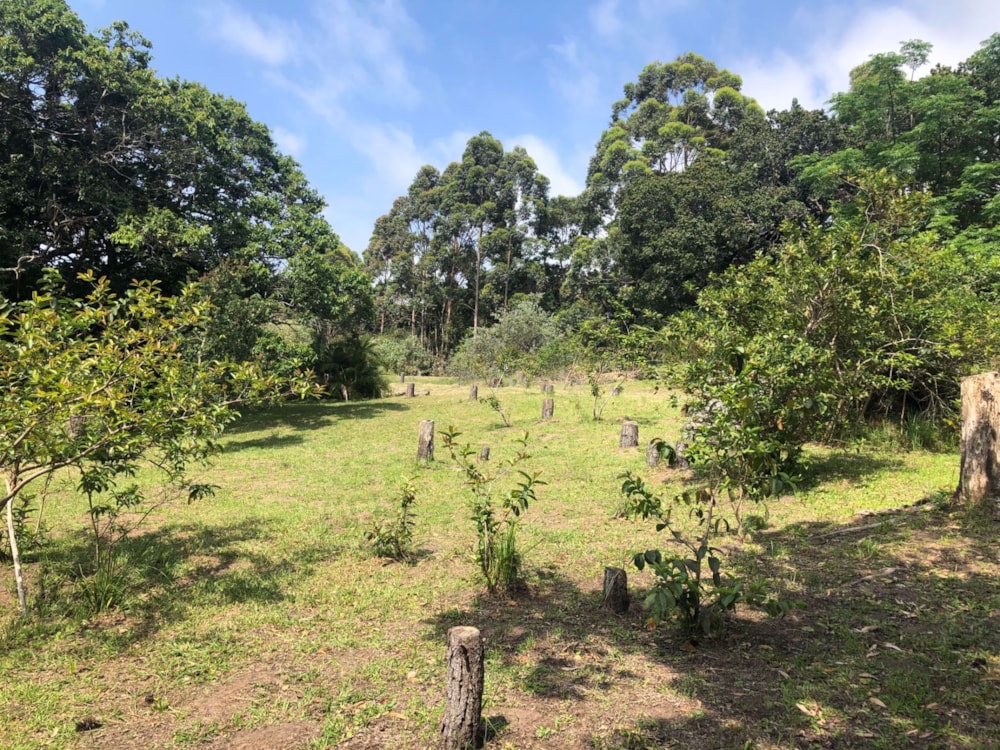 Residential vacant land for sale in Leisure Bay - 1PD1551462