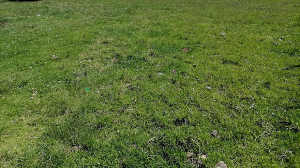 Vacant land for sale in Elliot - 1MH1554516 Vacant land for sale in Elliot - 1MH1554516