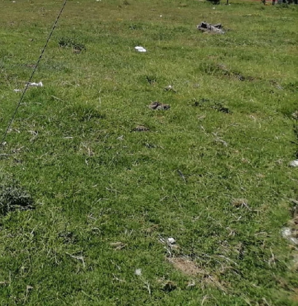 Vacant land for sale in Elliot - 1MH1554517 Vacant land for sale in Elliot - 1MH1554517