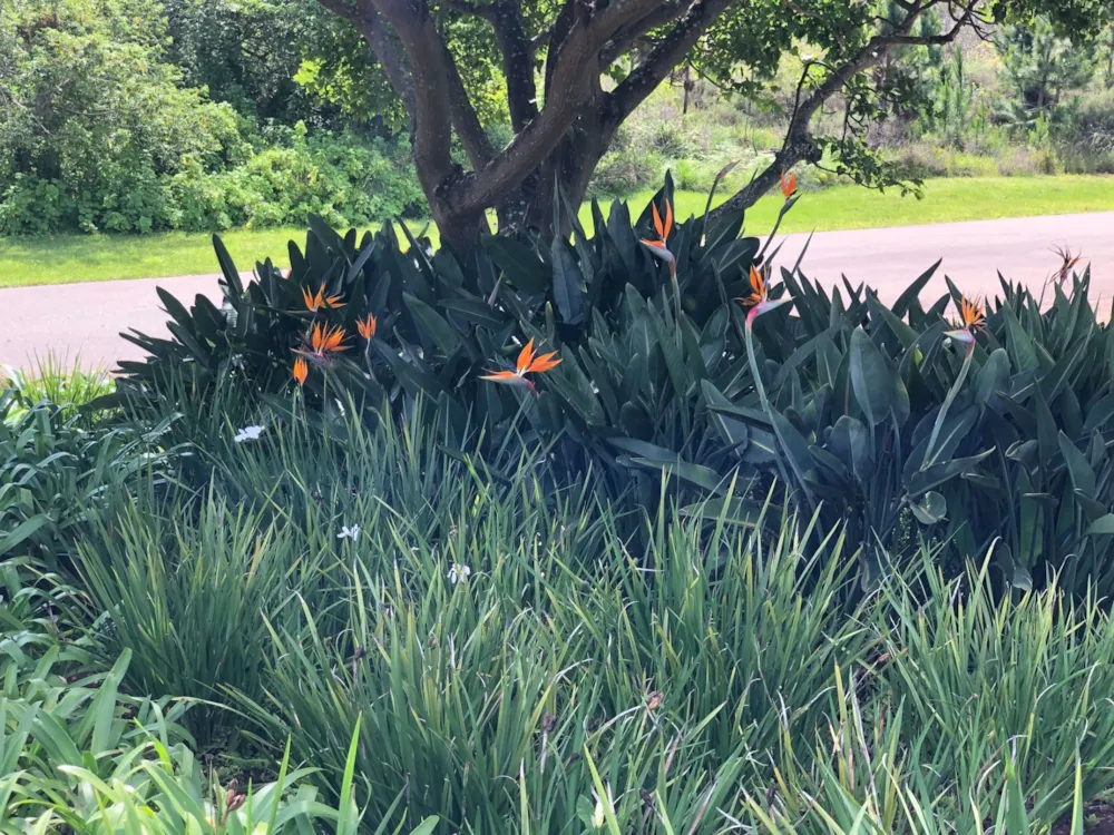 Residential vacant land for sale in Leisure Bay - 1PD1552249