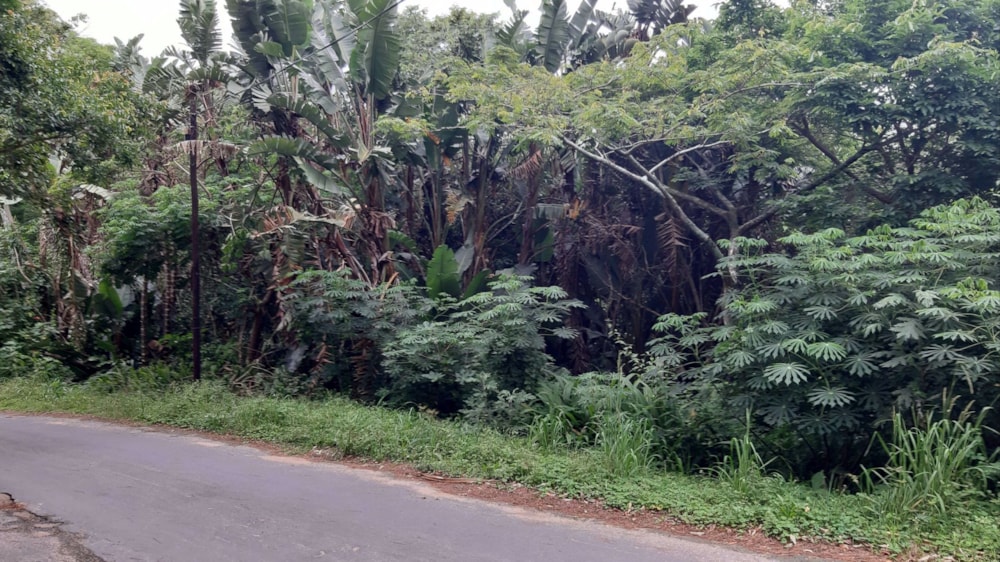 Vacant land for sale in Margate - 1PX1617882