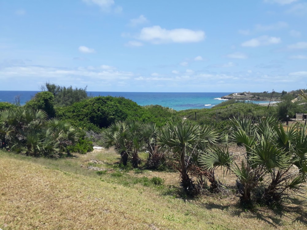 Beachfront villa for sale in Praia do Tofo, Mozambique - 3MQ1553603