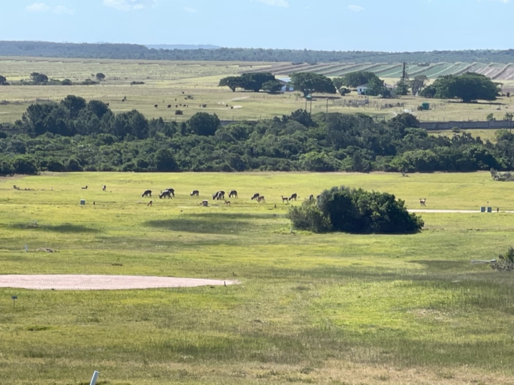 Vacant land for sale in Kenton Eco Estate - 1KO1550690