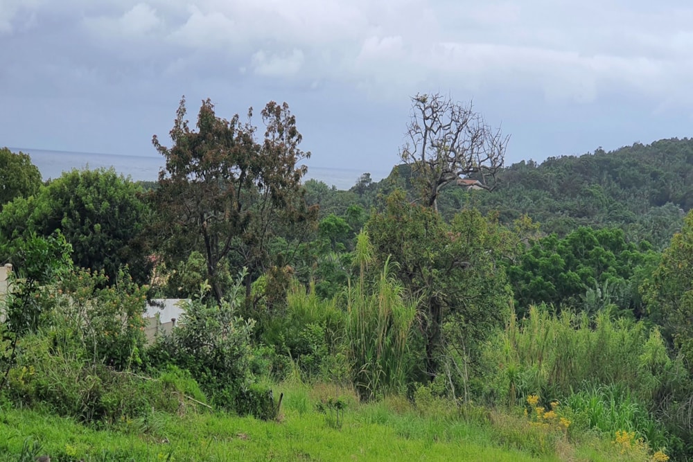 Residential vacant land for sale in Palm Beach - 1PD1553013 Residential vacant land for sale in Palm Beach - 1PD1553013