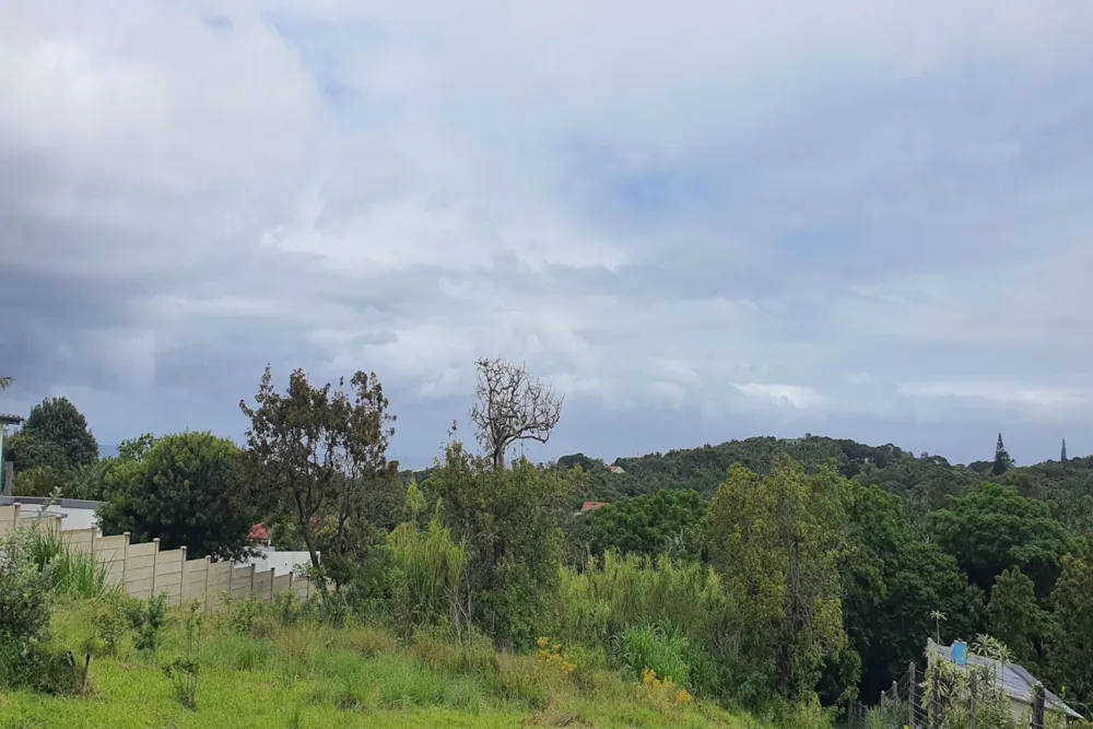 Residential vacant land for sale in Palm Beach - 1PD1553013 Residential vacant land for sale in Palm Beach - 1PD1553013