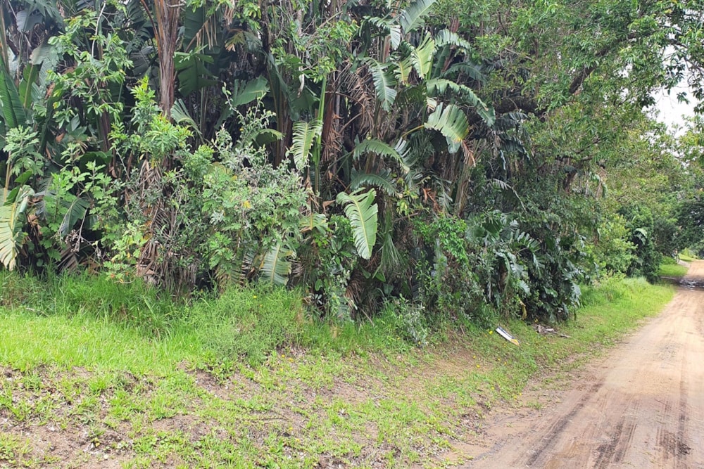 Residential vacant land for sale in Palm Beach - 1PD1553050 Residential vacant land for sale in Palm Beach - 1PD1553050