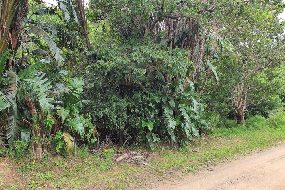 Residential vacant land for sale in Palm Beach - 1PD1553050 Residential vacant land for sale in Palm Beach - 1PD1553050