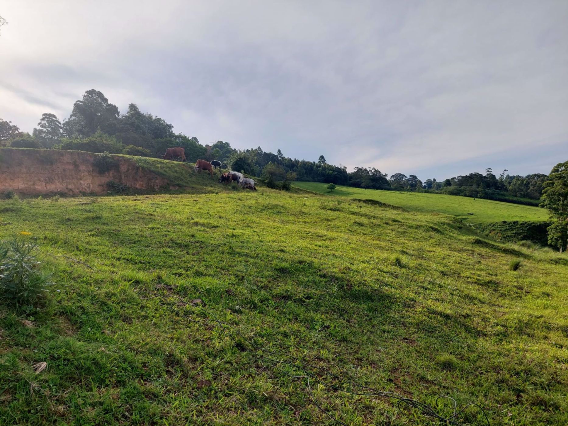 Residential vacant land for sale in Worlds View, Hilton - 1PM1555329