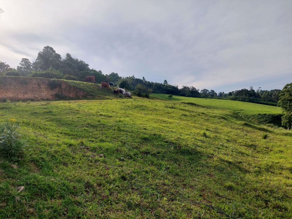 Residential vacant land for sale in Worlds View, Hilton - 1PM1555329 Residential vacant land for sale in Worlds View, Hilton - 1PM1555329