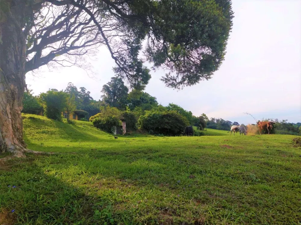 Residential vacant land for sale in Worlds View, Hilton - 1PM1555329 Residential vacant land for sale in Worlds View, Hilton - 1PM1555329