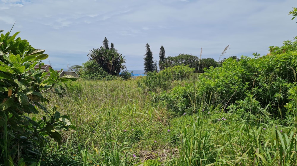 Residential vacant land for sale in Port Edward - 1PD1553884