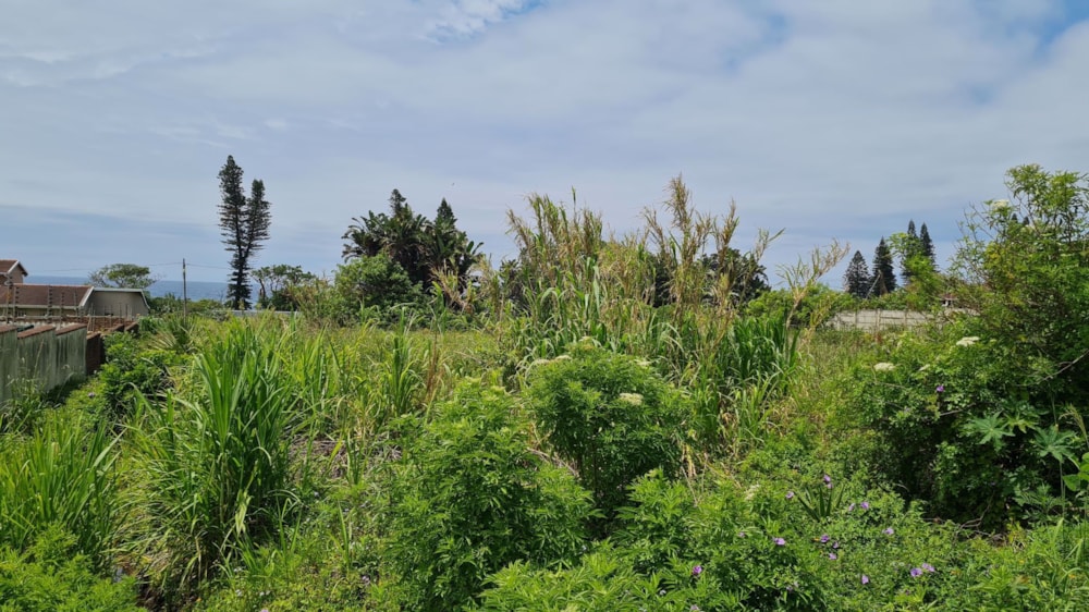 Residential vacant land for sale in Port Edward - 1PD1553884