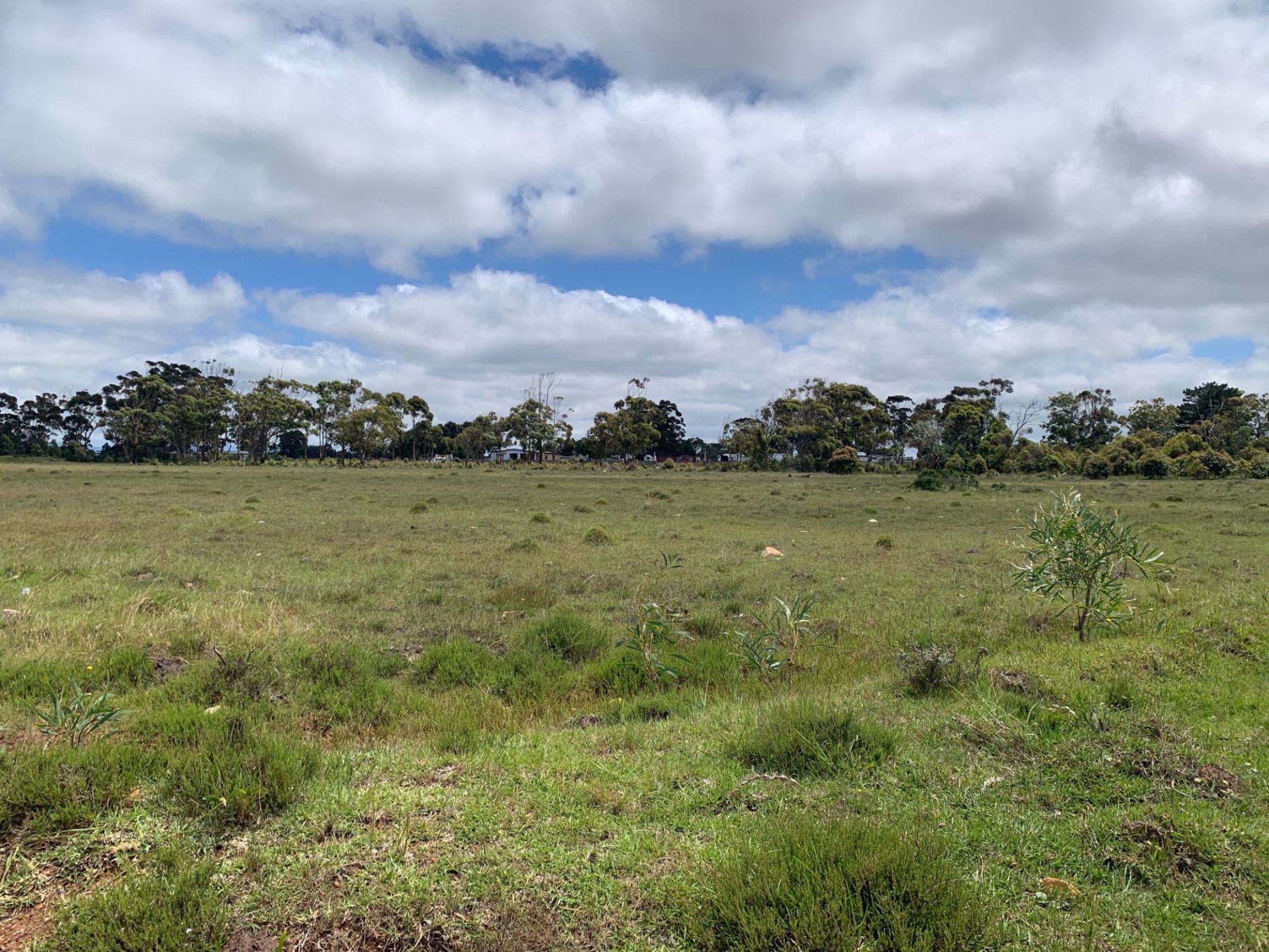 Vacant land for sale in Greenbushes - 1PLZ1554622