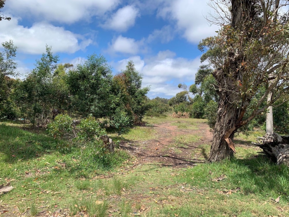 Vacant land for sale in Greenbushes - 1PLZ1554622 Vacant land for sale in Greenbushes - 1PLZ1554622