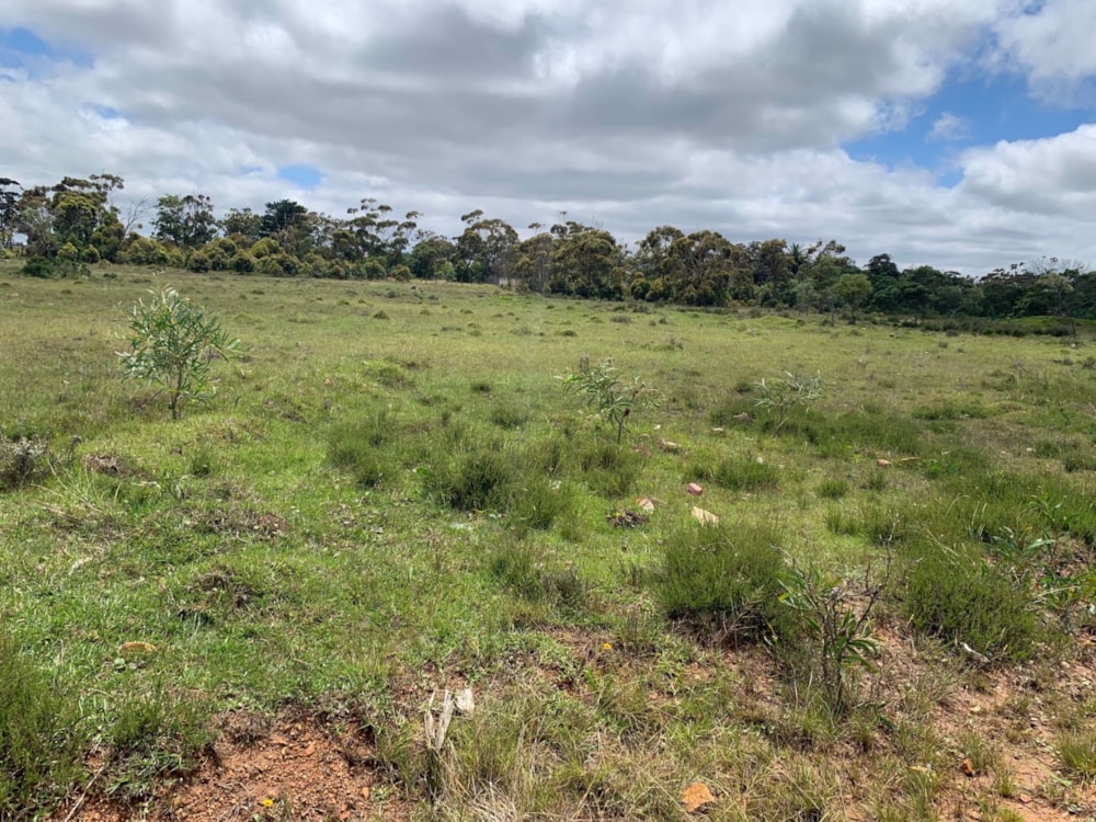 Vacant land for sale in Greenbushes - 1PLZ1554622 Vacant land for sale in Greenbushes - 1PLZ1554622