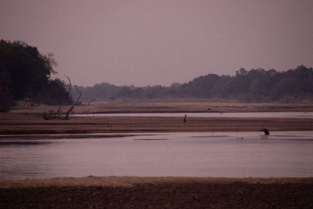 Vacant land for sale in South Luangwa National Park, Zambia - 3ZA1712702 Vacant land for sale in South Luangwa National Park, Zambia - 3ZA1712702