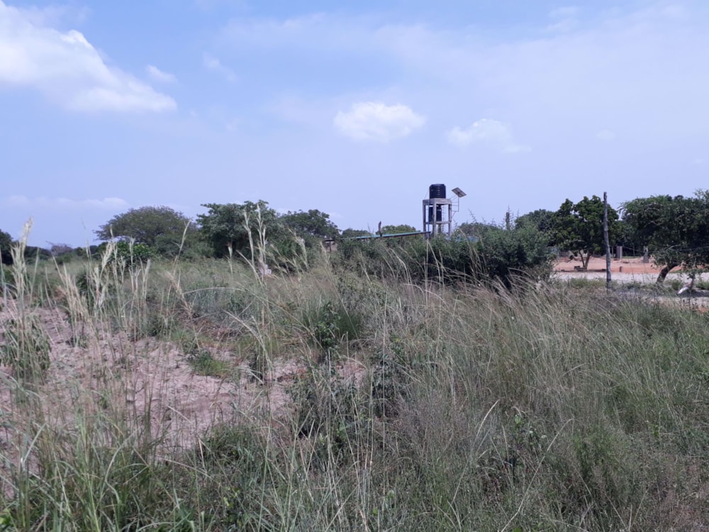 Vacant land for investment in Catembe, Mozambique - 3MQ1554872 Vacant land for investment in Catembe, Mozambique - 3MQ1554872