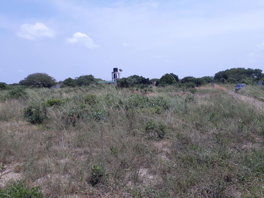 Vacant land for investment in Catembe, Mozambique - 3MQ1554872 Vacant land for investment in Catembe, Mozambique - 3MQ1554872