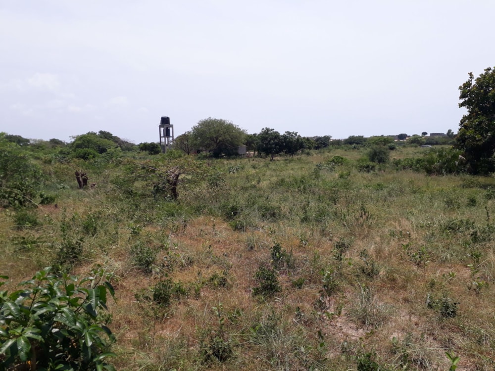 Vacant land for investment in Catembe, Mozambique - 3MQ1554872 Vacant land for investment in Catembe, Mozambique - 3MQ1554872