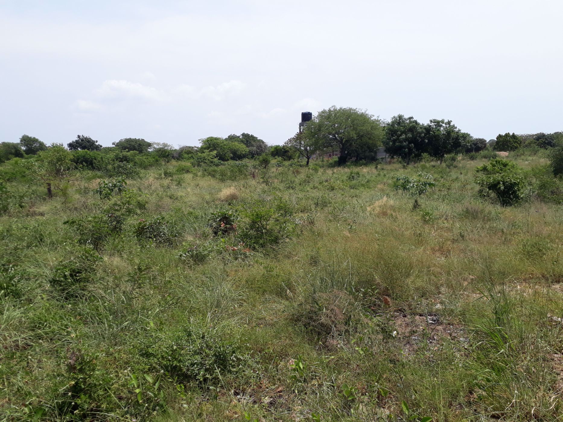 Vacant land for investment in Catembe, Mozambique - 3MQ1554872