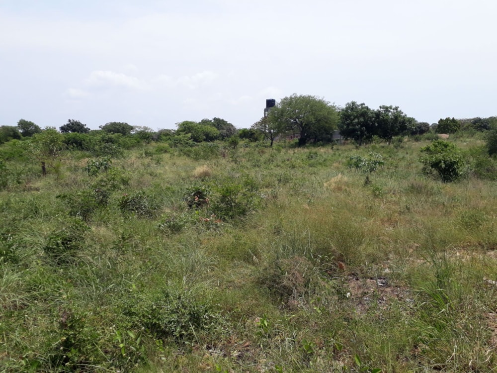 Vacant land for investment in Catembe, Mozambique - 3MQ1554872 Vacant land for investment in Catembe, Mozambique - 3MQ1554872
