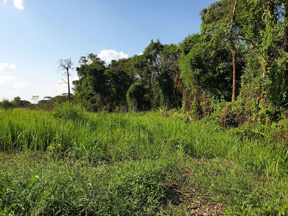 Farm vacant land for sale in Solwezi, Zambia - 3ZA1555274