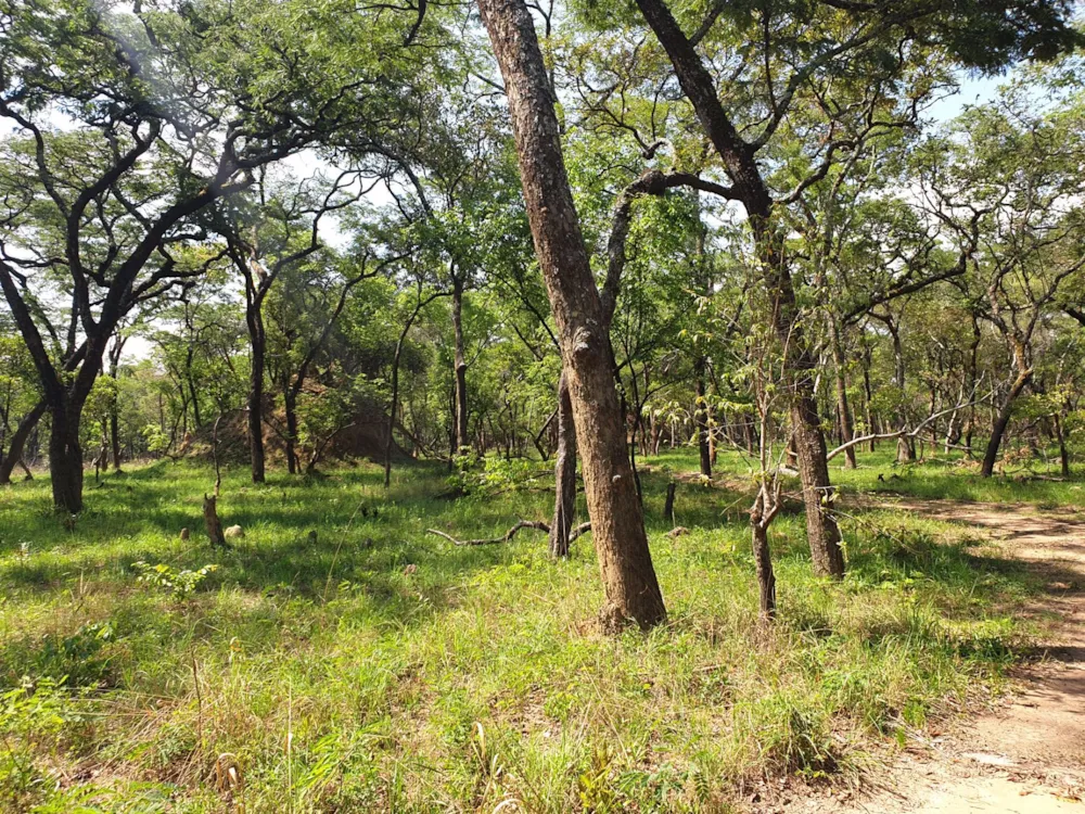 Farm vacant land for sale in Solwezi, Zambia - 3ZA1555274